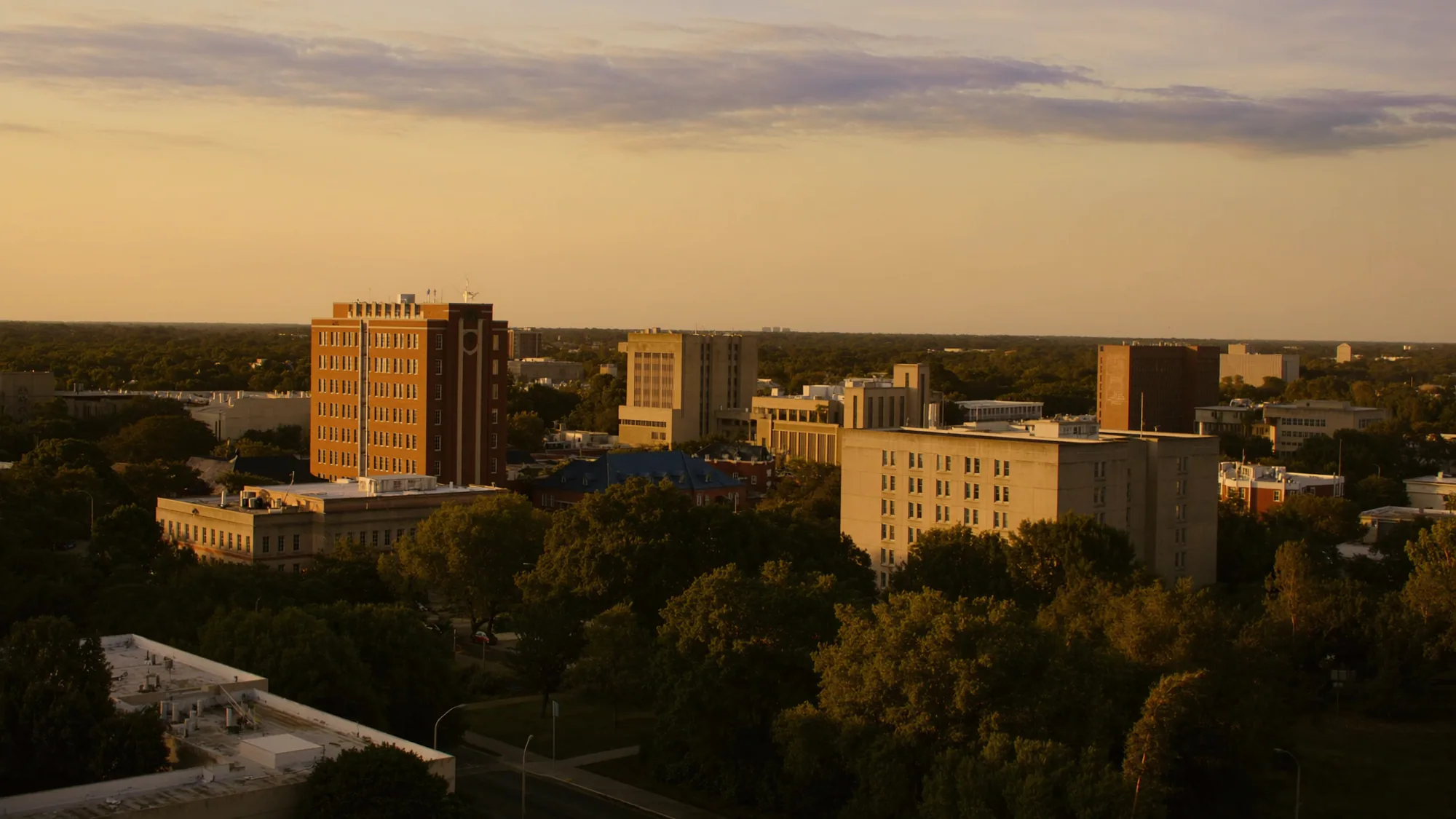 Gainesville, FL skyline