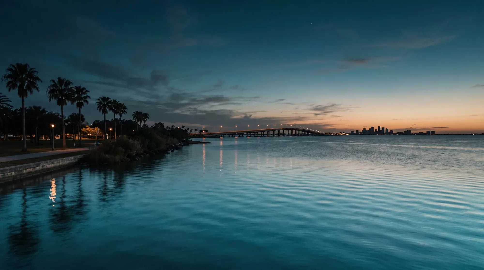 Tampa, FL skyline
